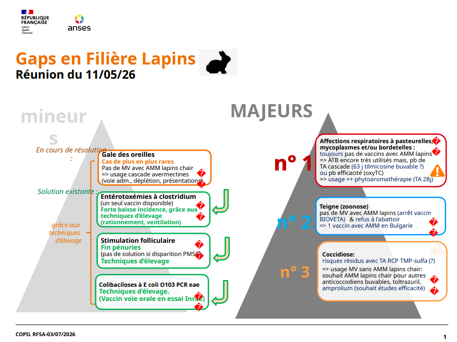 Mise à jour Gaps thérapeutiques en filière Lapins